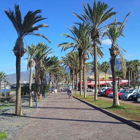 公寓 Casa Palmera 3 Only 150 Metres To The Beach, Heated Pool, Wifi, Sat-tv, Balcony